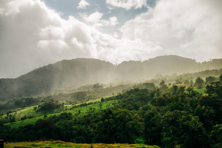 Before The Decisive Moment | A Blog to Share Photography Knowledge and Inpire Exploration 7 Rain Protection for Cameras