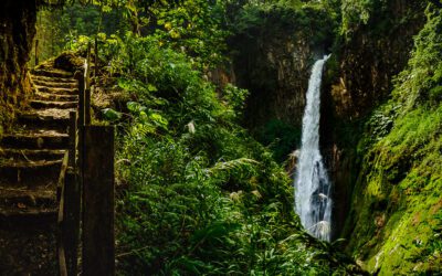 Outdoor Photography Light Guide: A deep understanding for the wilderness