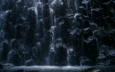 Managing Condensation Between Air-Conditioned Spaces and Rainforest