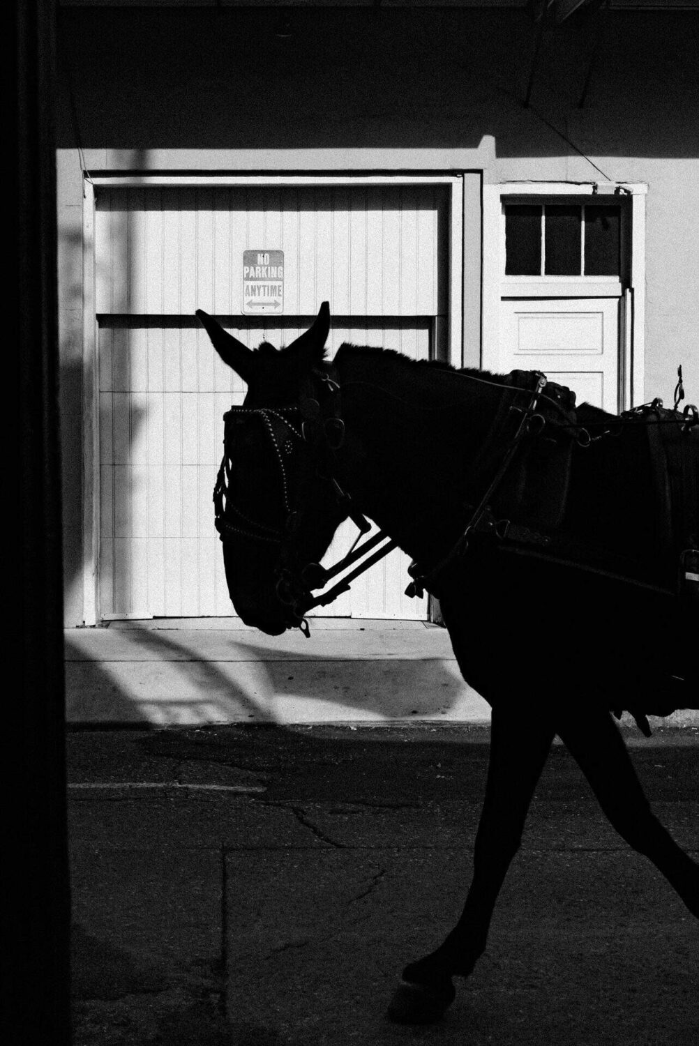 Street photography beginners guide