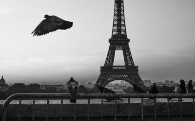 Simple Moments in Time: Spectacular France Street Photography