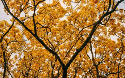 How to take Stunning Photography Landscapes in Challenging Conditions