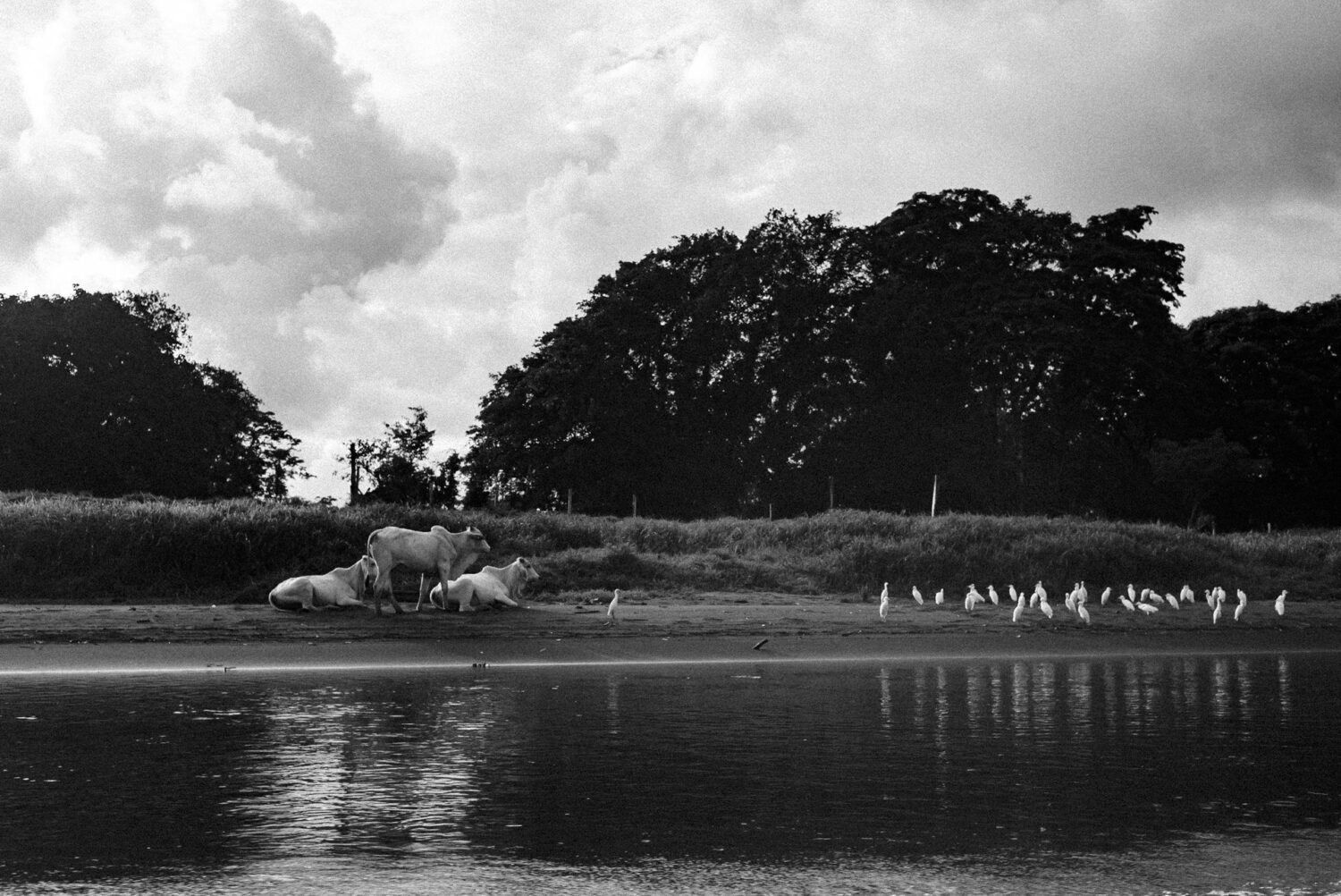 photographers-costa-rica-04 photographer costa rica