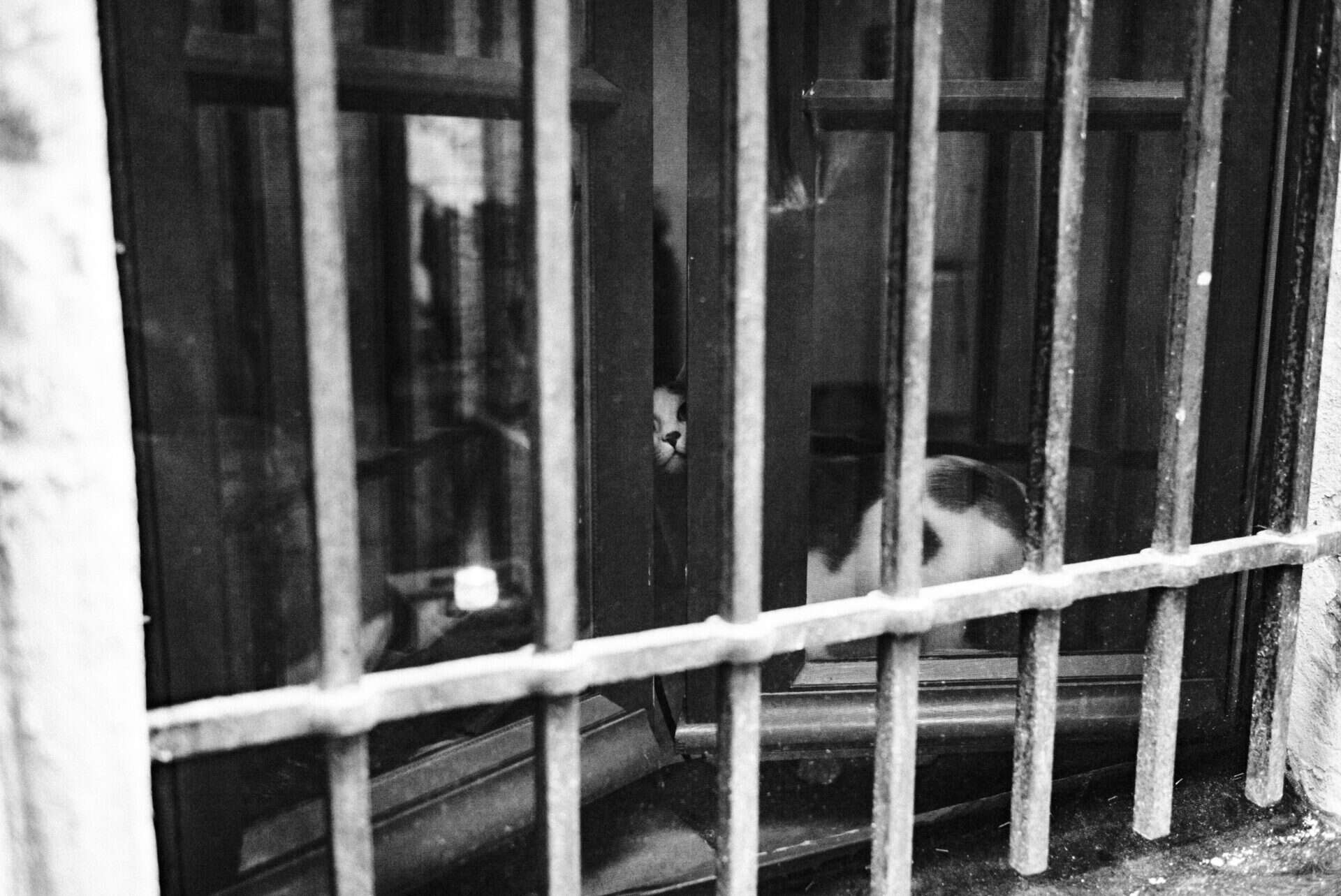 street photography