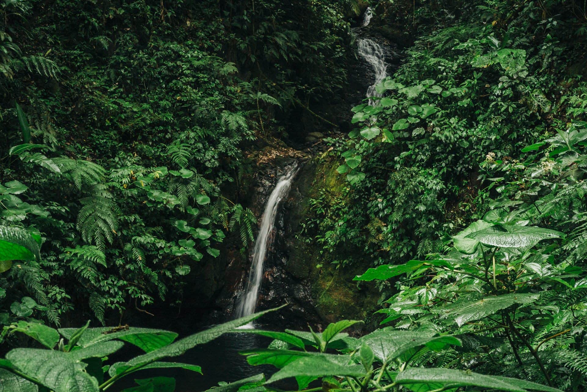 monteverde photography visual storytelling