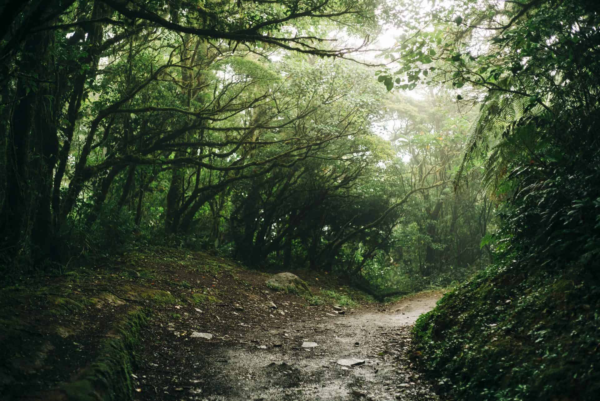 monteverde photography visual storytelling