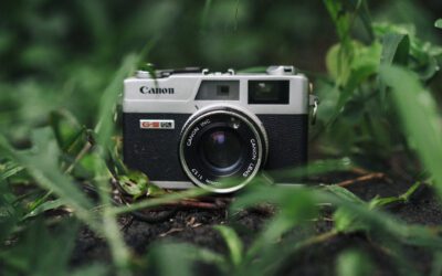 Dealing with Fungus in Camera Lenses