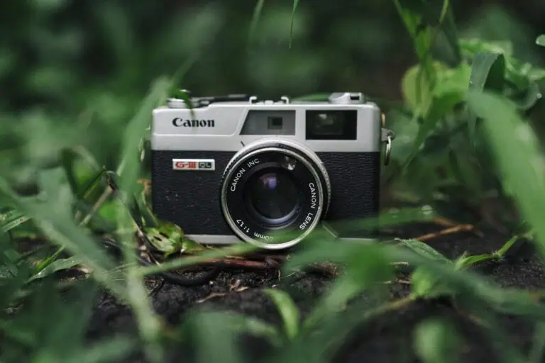 Before The Decisive Moment | A Blog to Share Photography Knowledge and Inpire Exploration 32 Dealing with Fungus in Camera Lenses