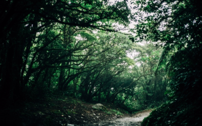 Preventing Lens Fog in Humid Environments