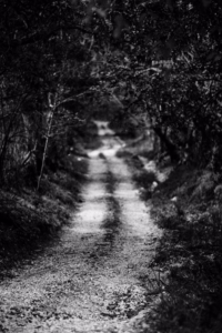 Guanacaste Photography Field Guide | Light, Seasons & Production 28