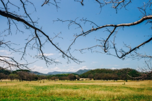 Guanacaste Photography Field Guide | Light, Seasons & Production 18