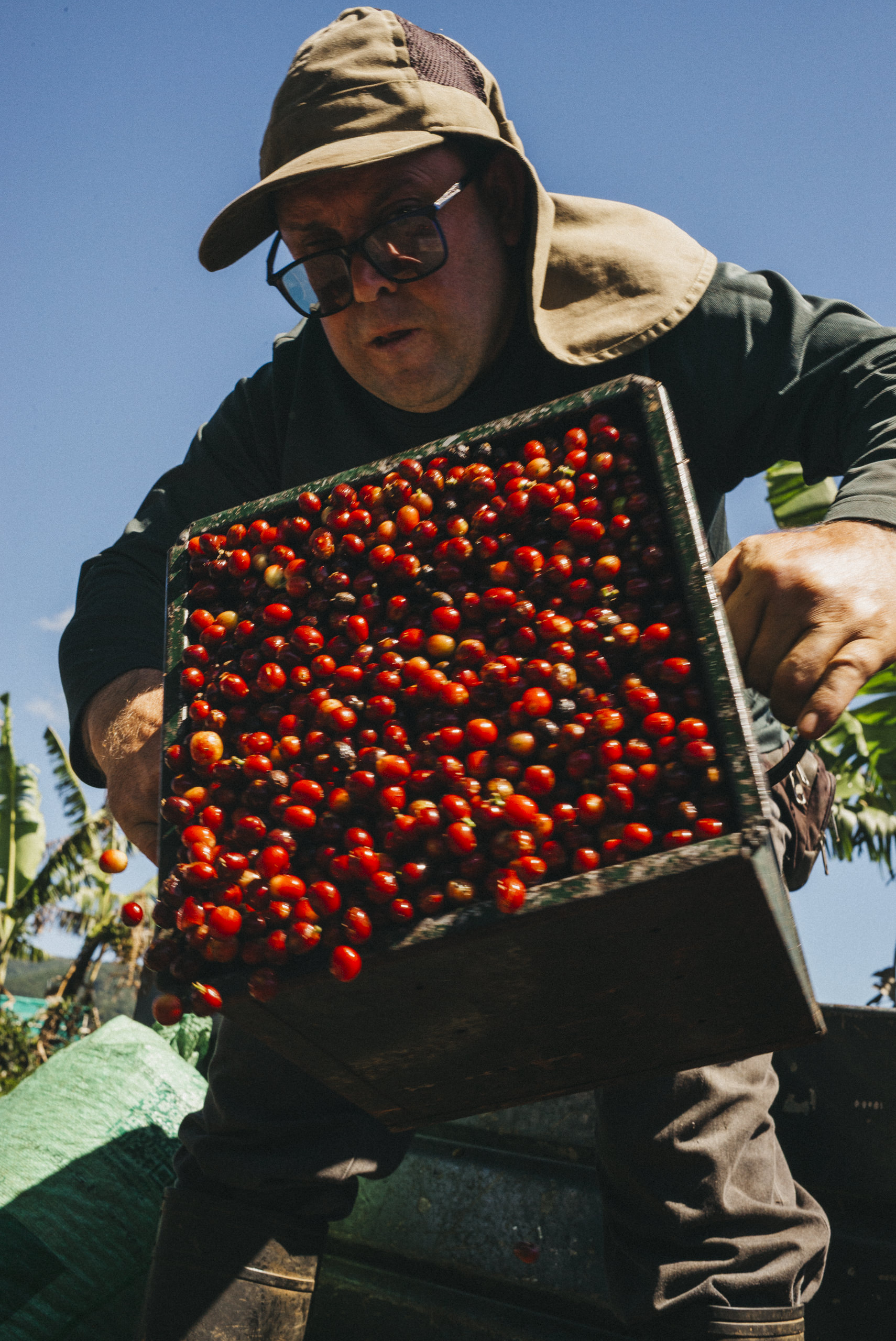 Photojournalist in costa rica documenting coffee production in los santos zone