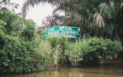 Documentary photographer Costa Rica 10 Documentary Film: Capturing Conservation Efforts in Tortuguero, Costa Rica