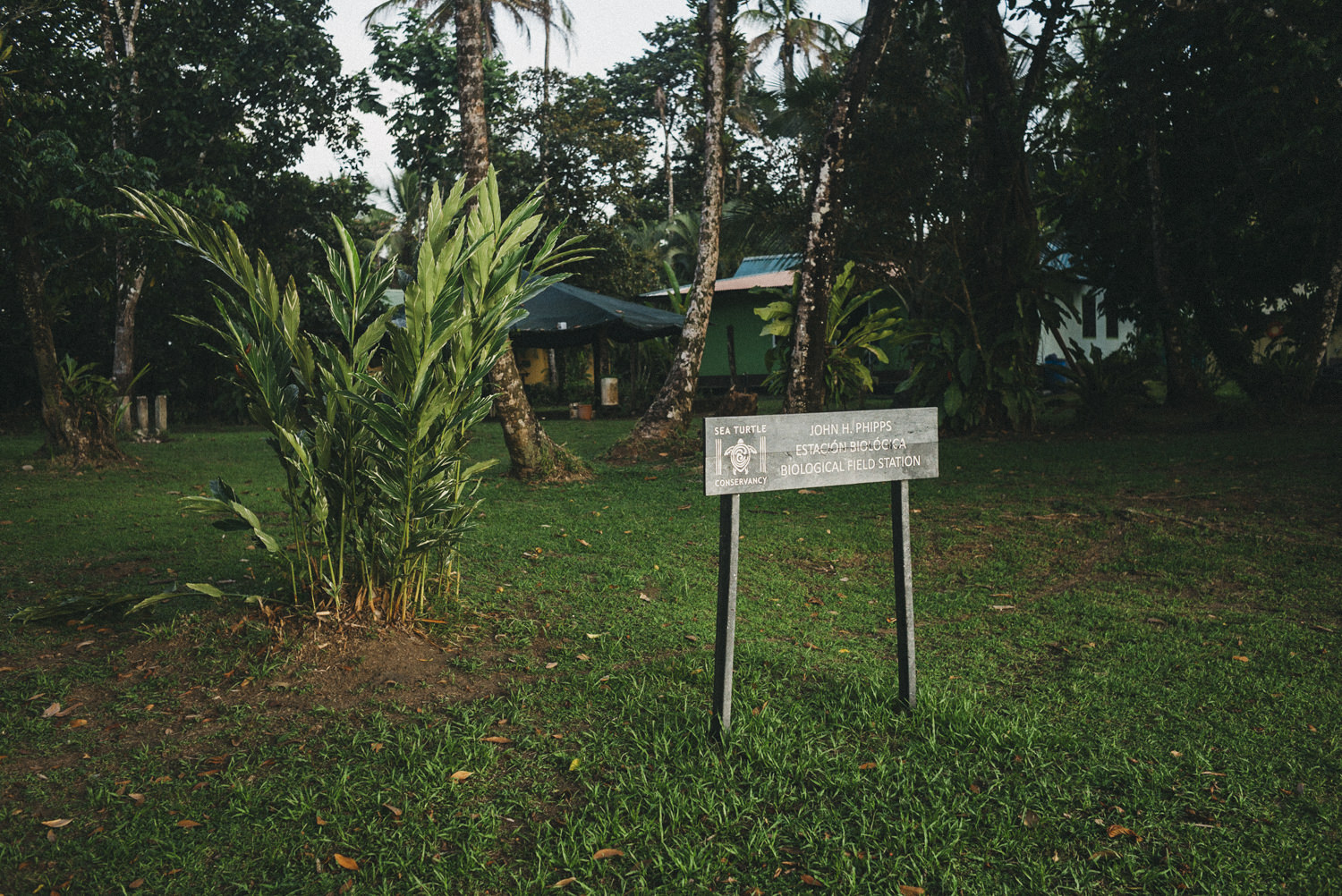 L1003485 Documentary team on tortuguero sea turtle conservancy biological station