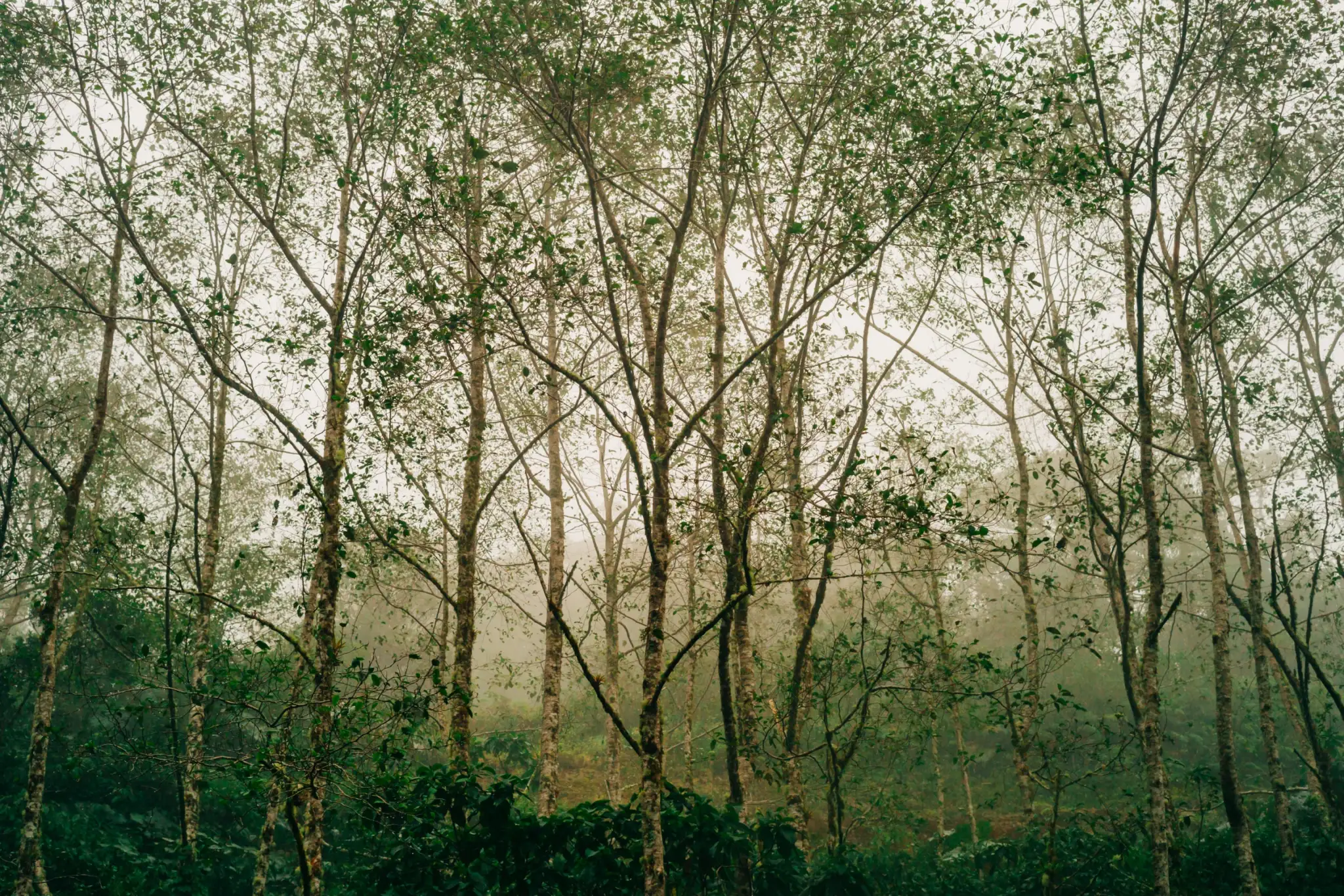 L1009543 Costa rica lanscape photography