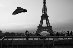 Street photography by Christopher Alga, contact sheet frame 15