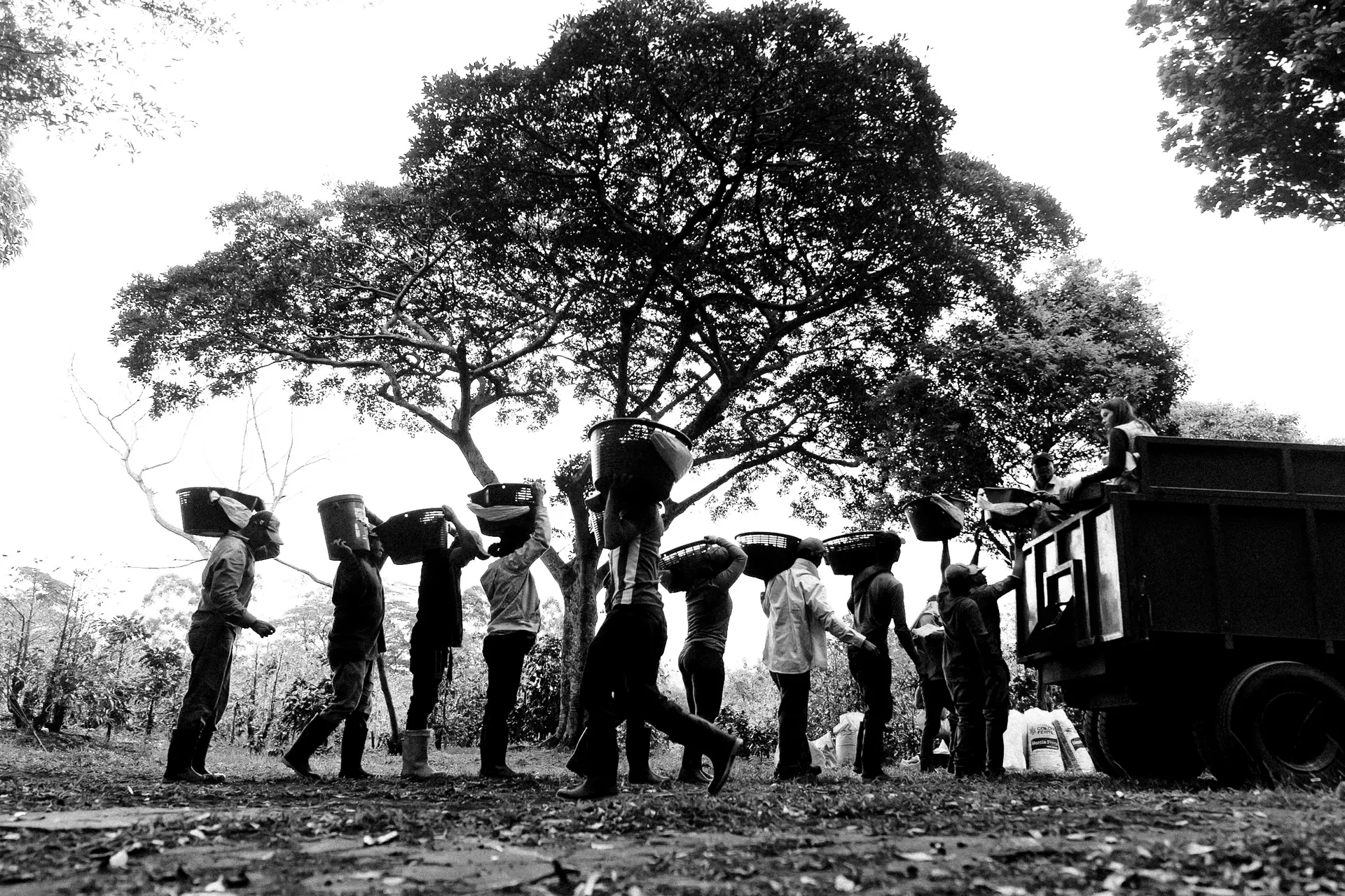 Photojournalist in Costa Rica
