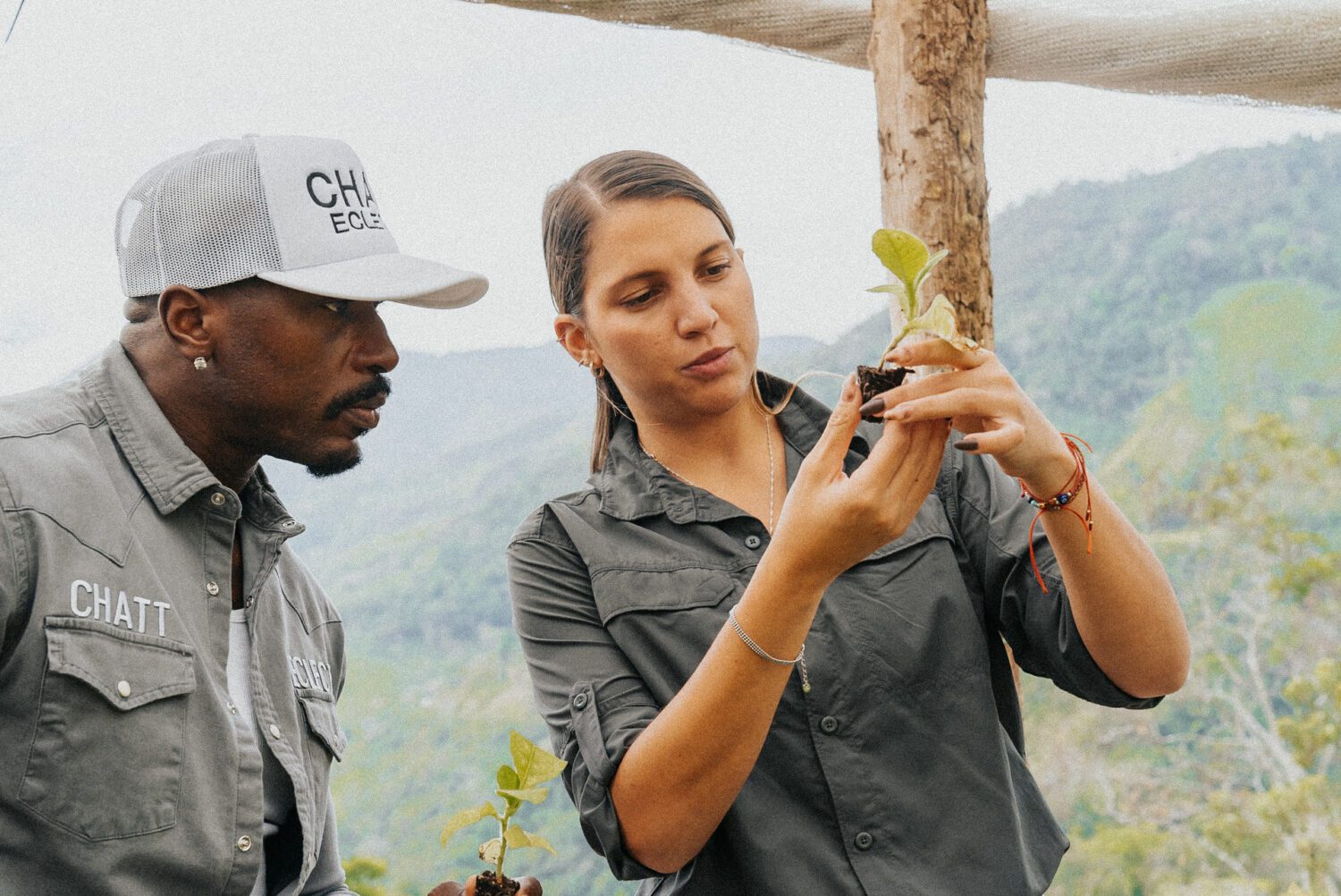 Tobacco Production in Costa Rica: From Field to Hand-Rolled Cigars 2