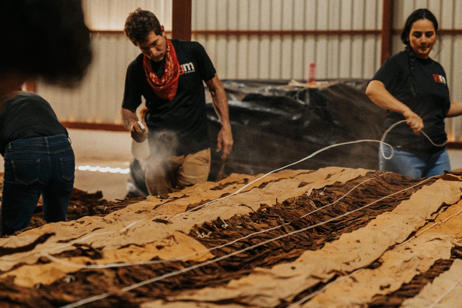 Tobacco Production in Costa Rica: From Field to Hand-Rolled Cigars 56