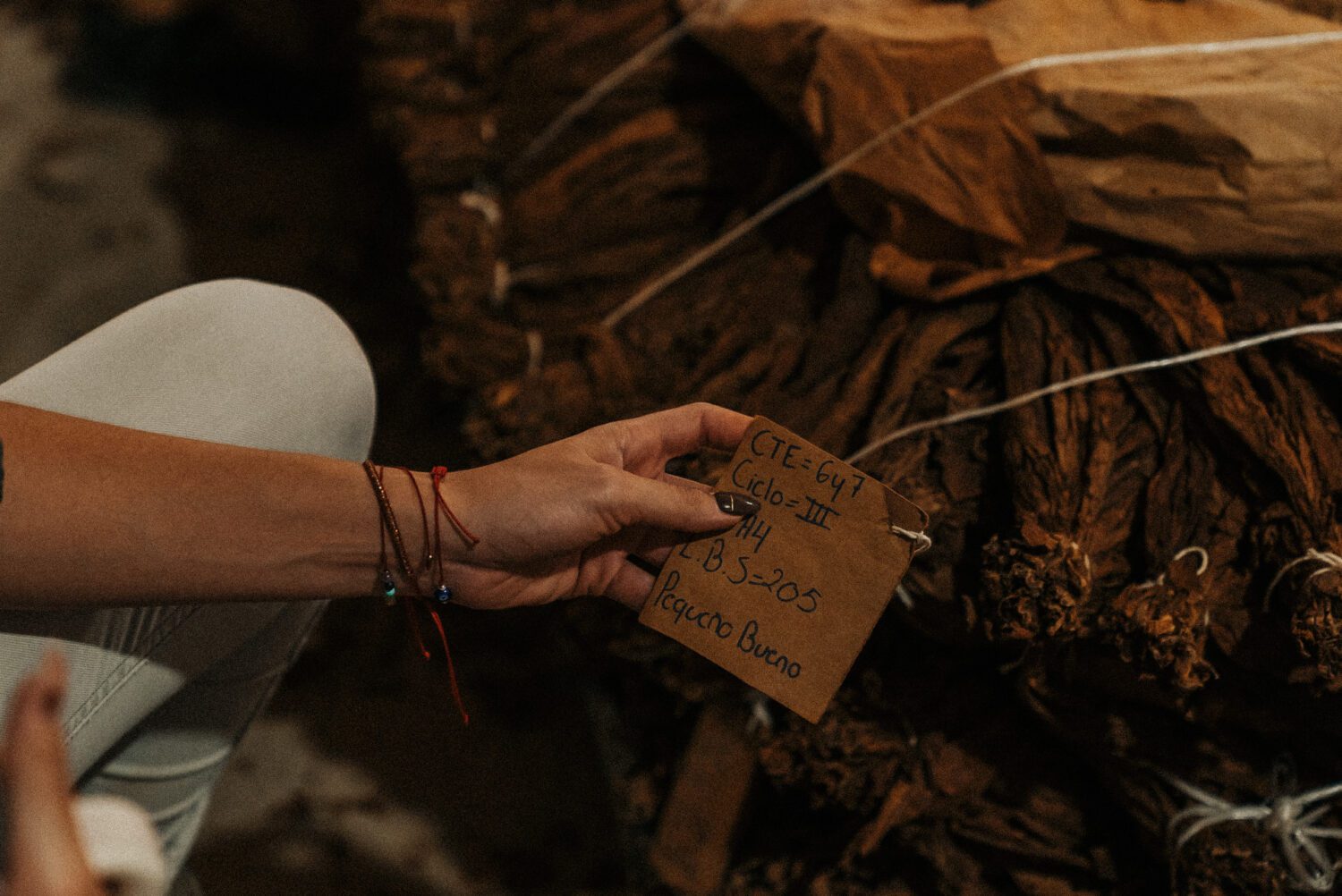 Tobacco Production in Costa Rica: From Field to Hand-Rolled Cigars 58
