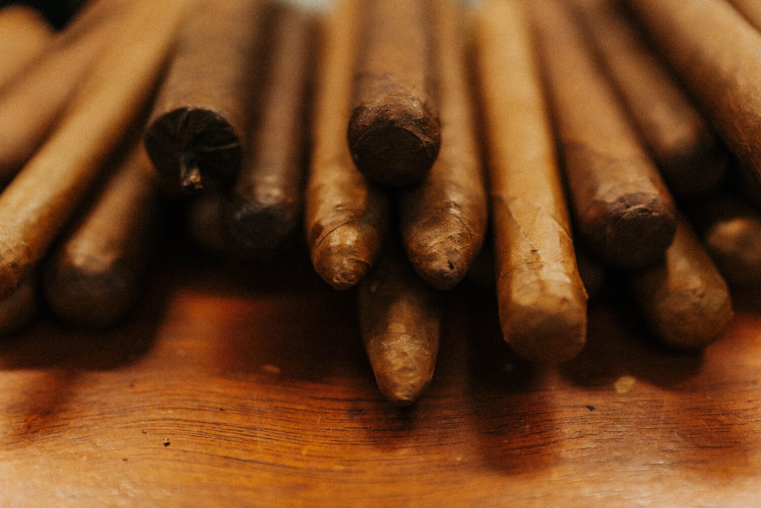 Tobacco Production in Costa Rica: From Field to Hand-Rolled Cigars 94