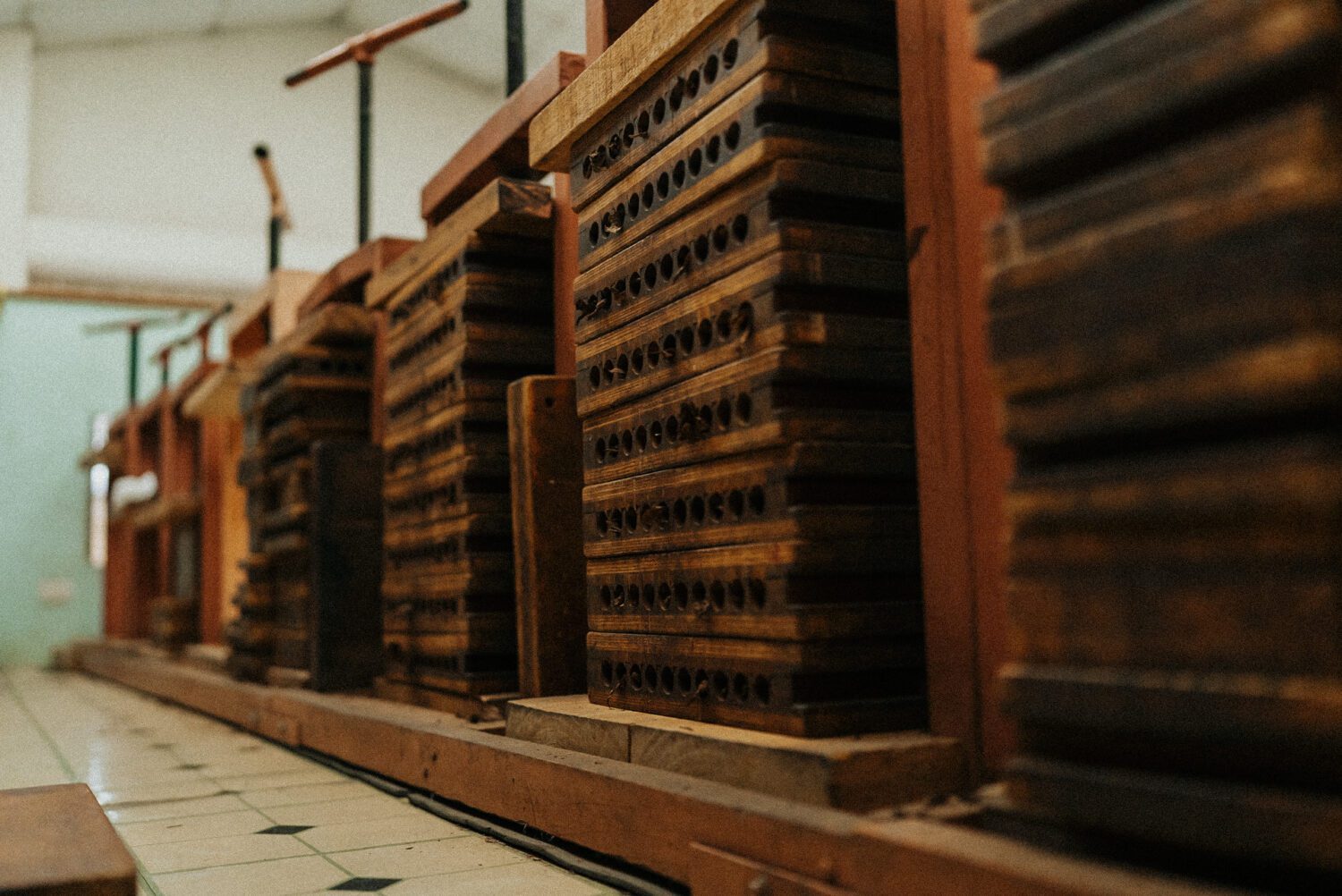Tobacco Production in Costa Rica: From Field to Hand-Rolled Cigars 98
