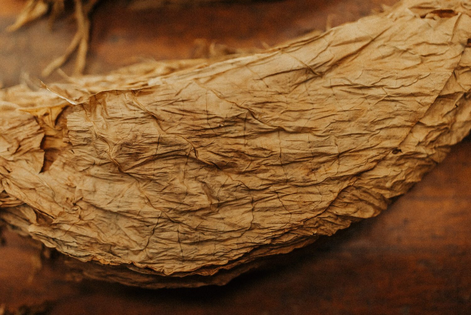 Tobacco Production in Costa Rica: From Field to Hand-Rolled Cigars 64