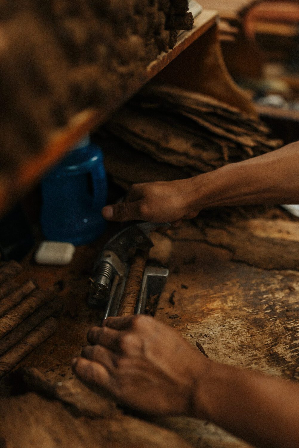 Tobacco Production in Costa Rica: From Field to Hand-Rolled Cigars 86