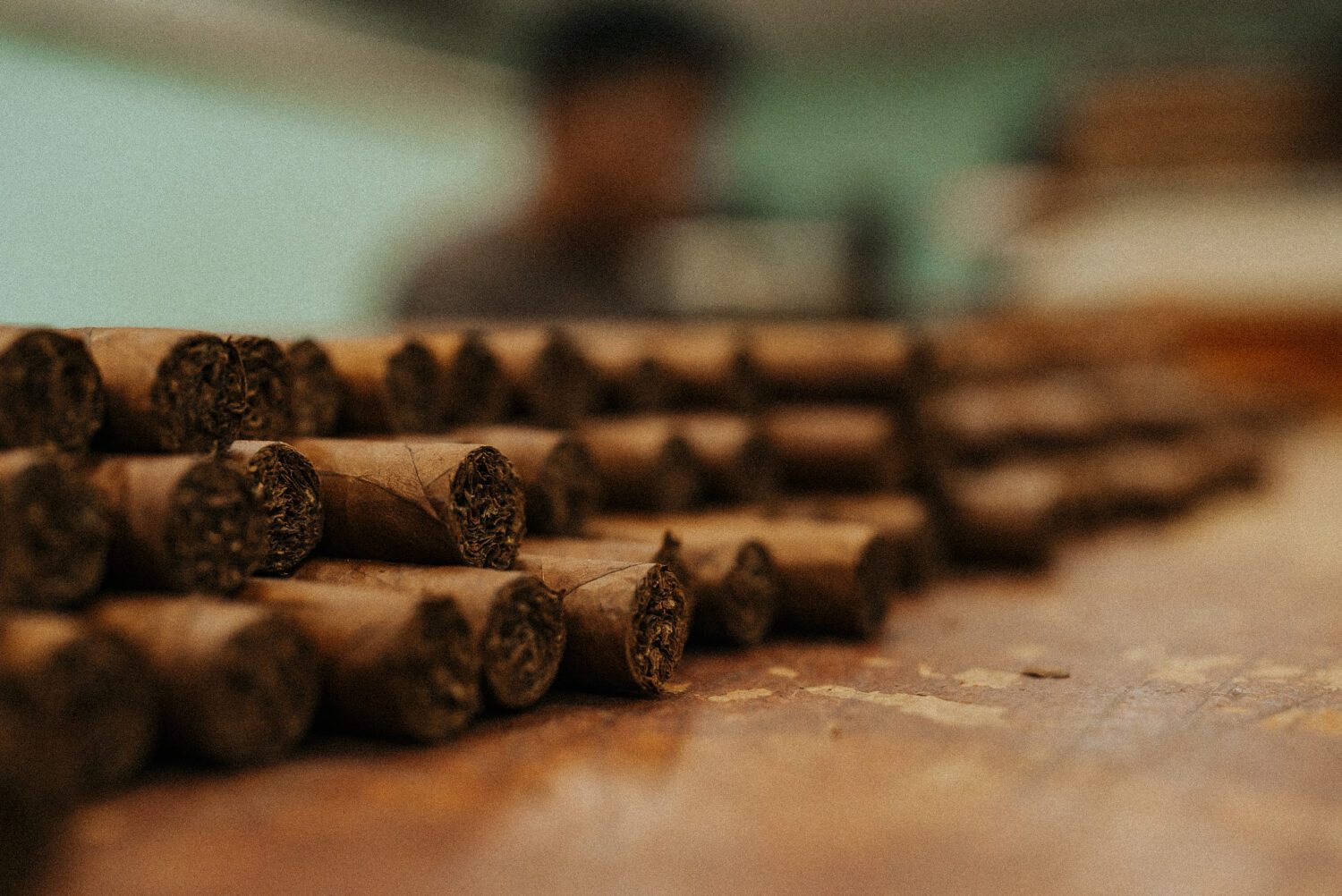 Tobacco Production in Costa Rica: From Field to Hand-Rolled Cigars 82