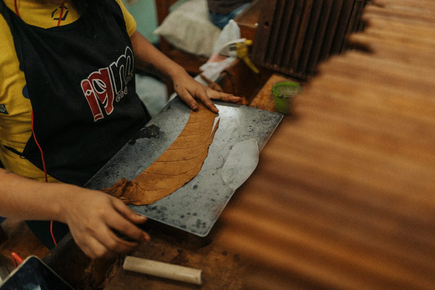 Tobacco Production in Costa Rica: From Field to Hand-Rolled Cigars 80