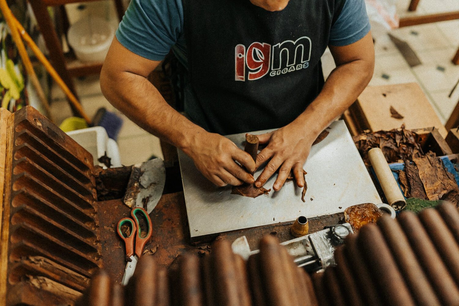 Tobacco Production in Costa Rica: From Field to Hand-Rolled Cigars 76