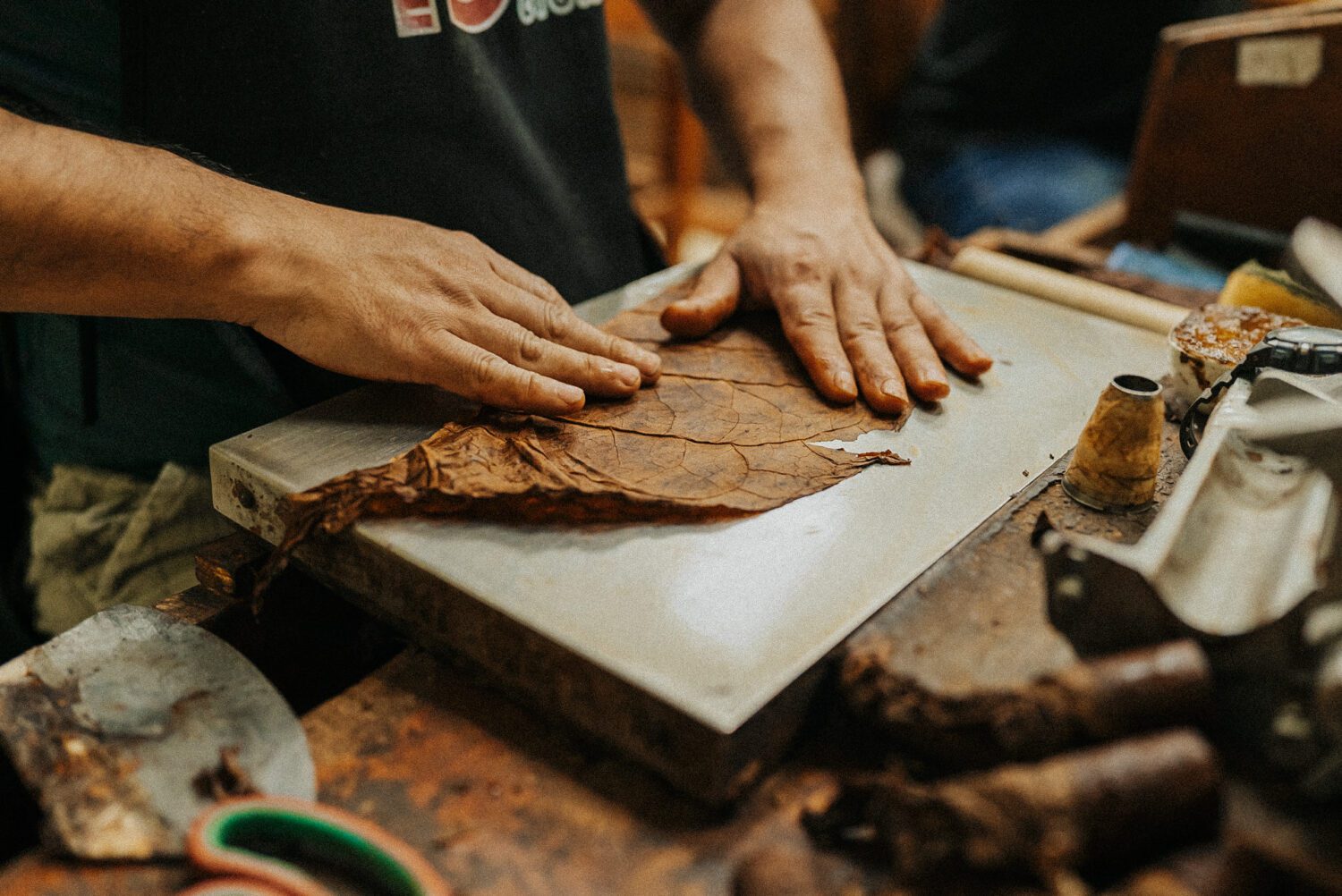 Tobacco Production in Costa Rica: From Field to Hand-Rolled Cigars 74