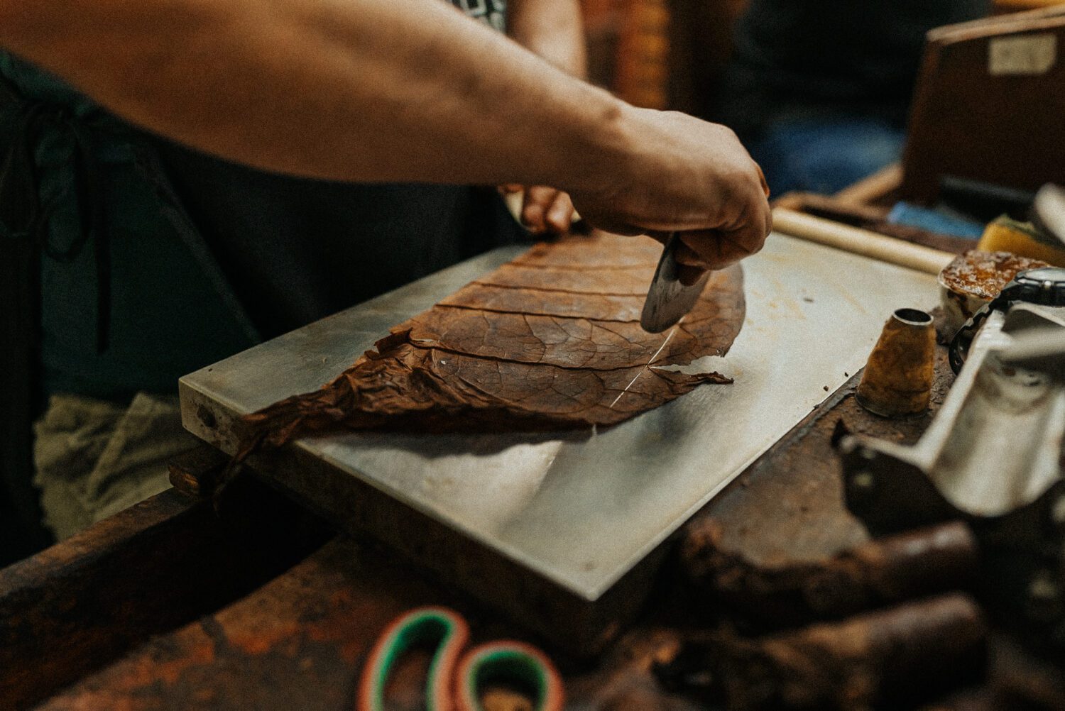 Tobacco Production in Costa Rica: From Field to Hand-Rolled Cigars 72