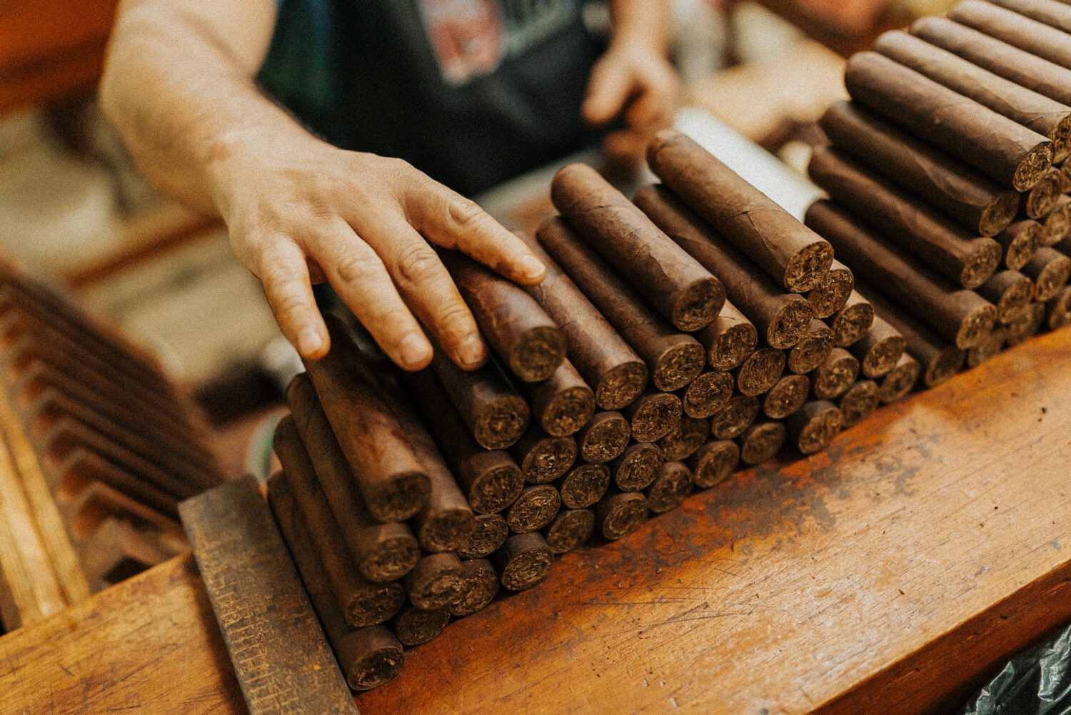 Tobacco Production in Costa Rica: From Field to Hand-Rolled Cigars 114