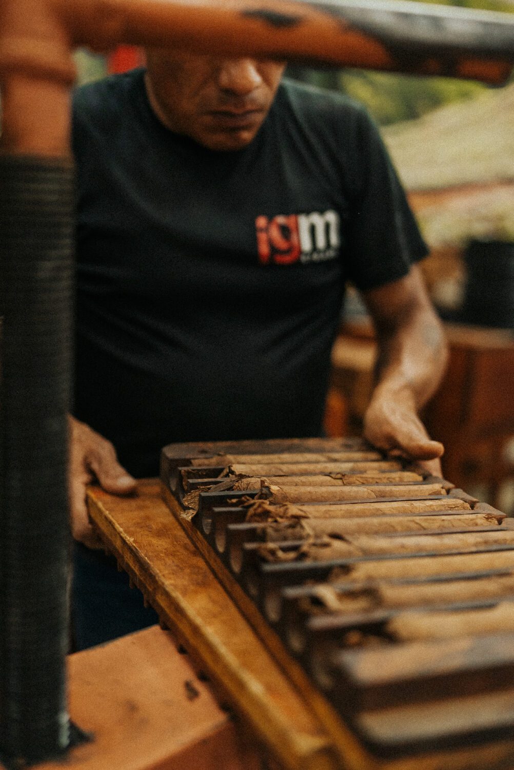 Tobacco Production in Costa Rica: From Field to Hand-Rolled Cigars 116