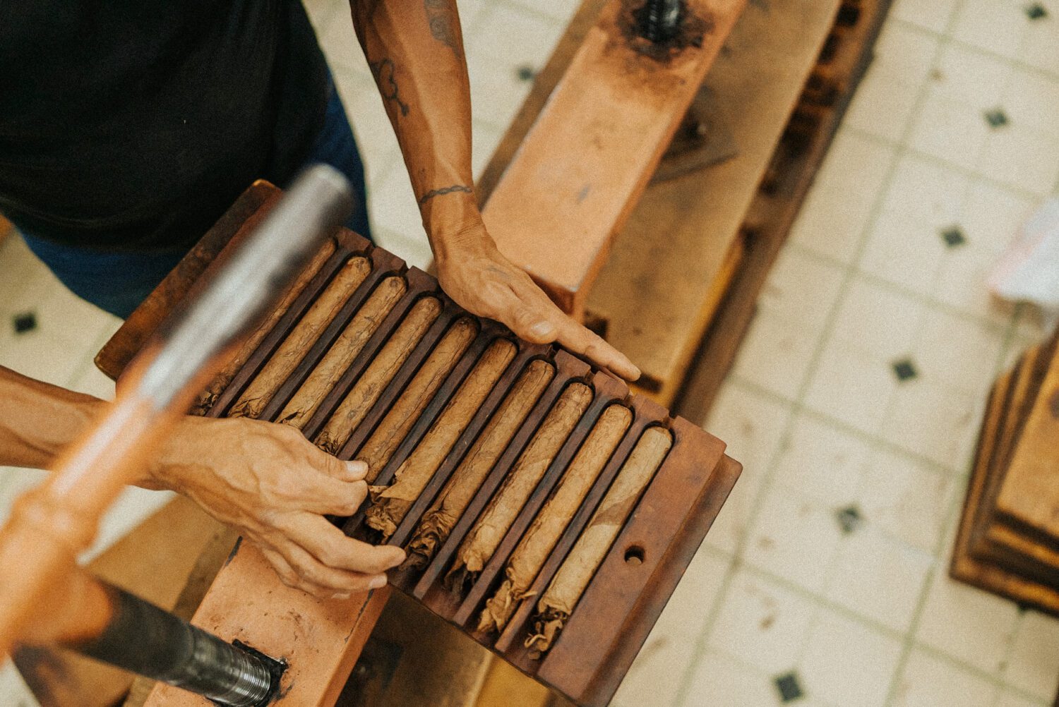 Tobacco Production in Costa Rica: From Field to Hand-Rolled Cigars 102