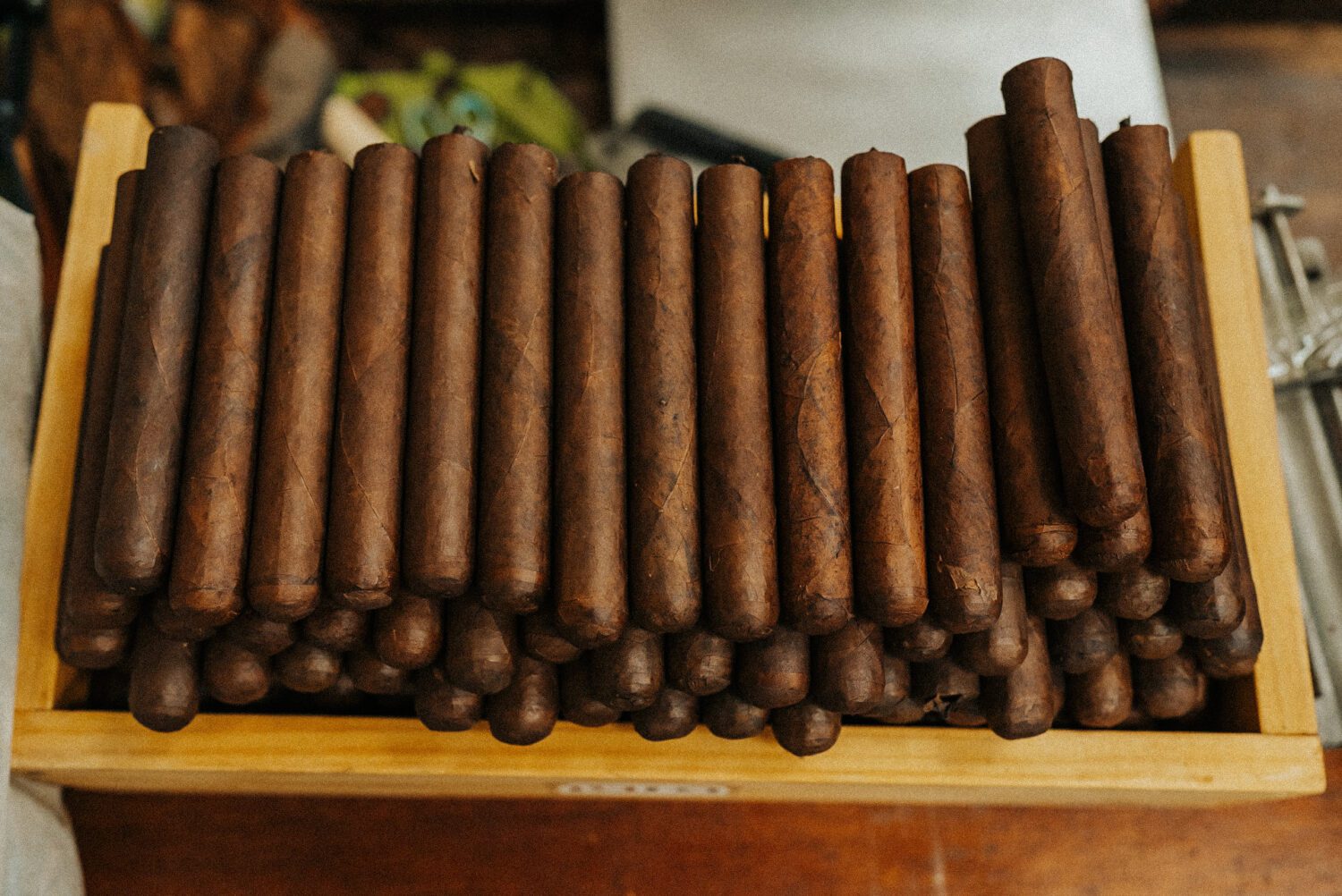 Tobacco Production in Costa Rica: From Field to Hand-Rolled Cigars 106
