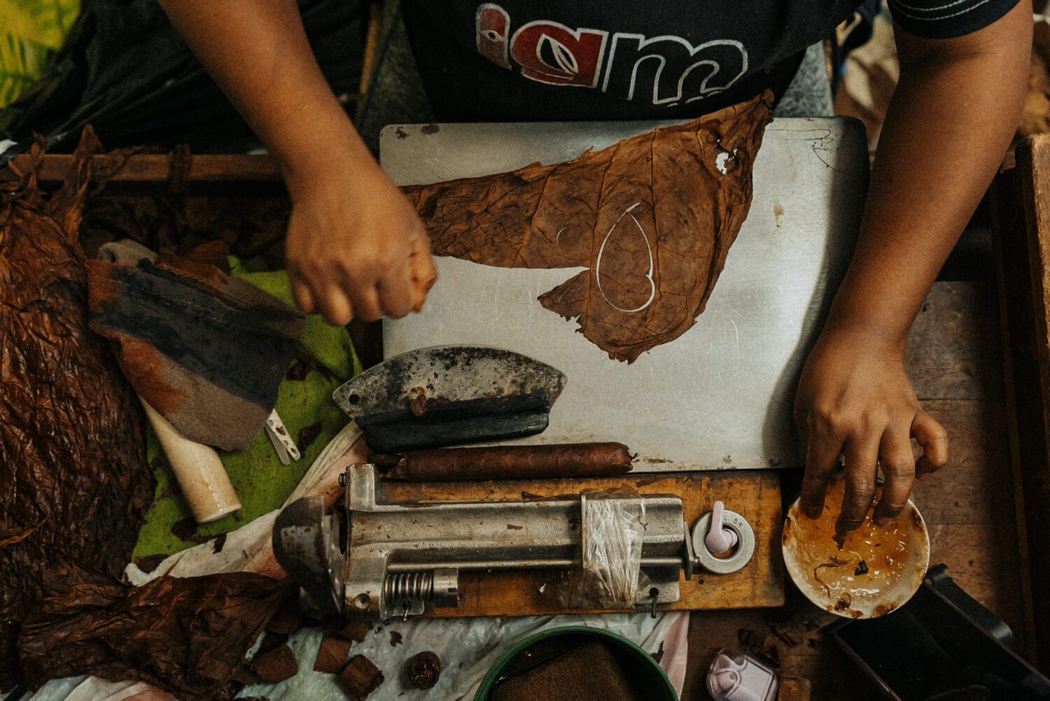 Tobacco Production in Costa Rica: From Field to Hand-Rolled Cigars 108