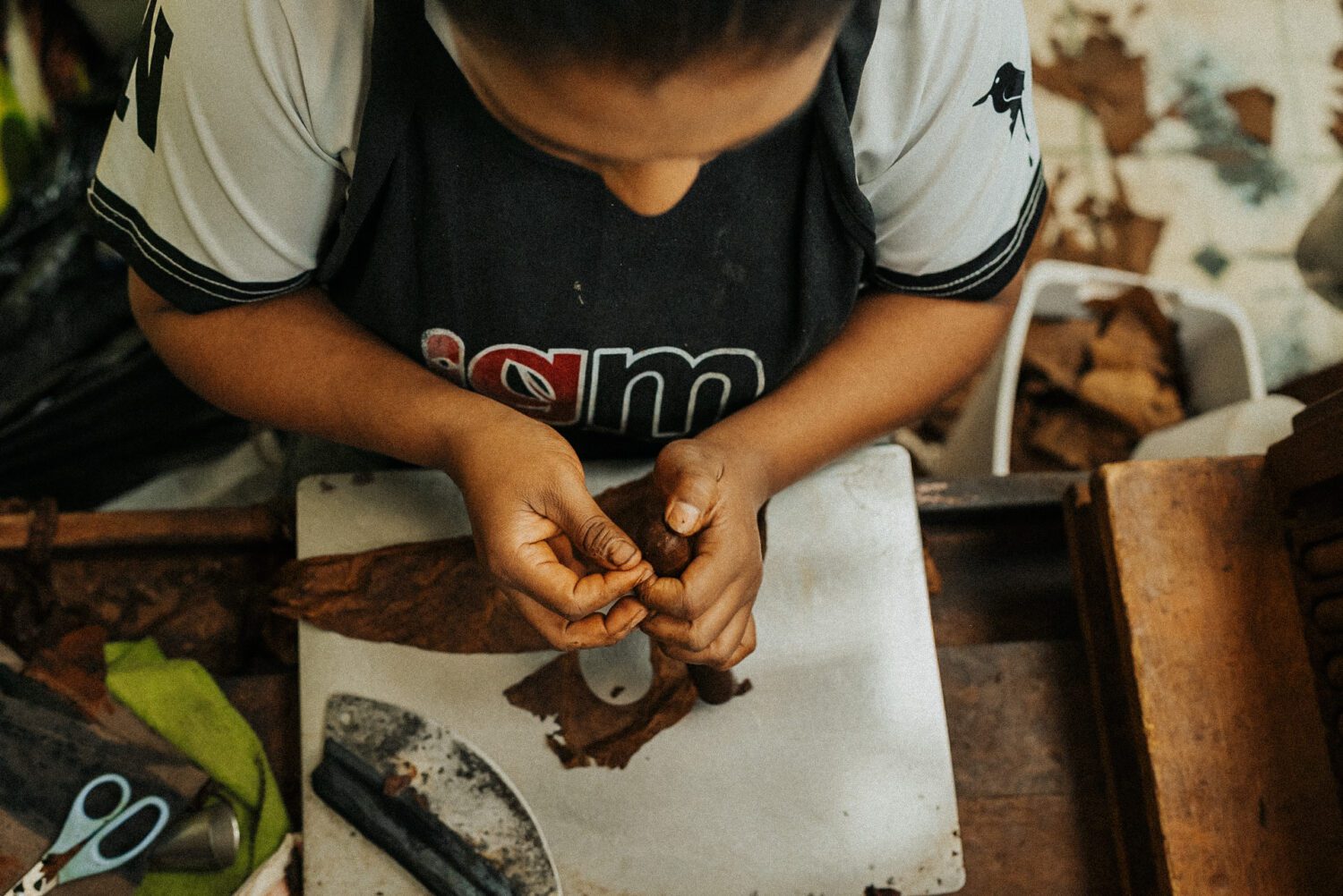 Tobacco Production in Costa Rica: From Field to Hand-Rolled Cigars 110