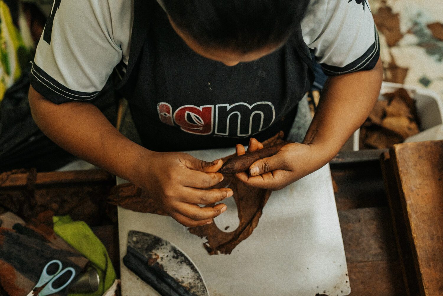 Tobacco Production in Costa Rica: From Field to Hand-Rolled Cigars 112