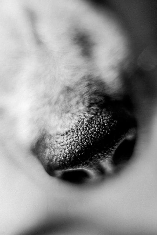 Costa Rica Photographer | Editorial, Commercial & Documentary Photography 285