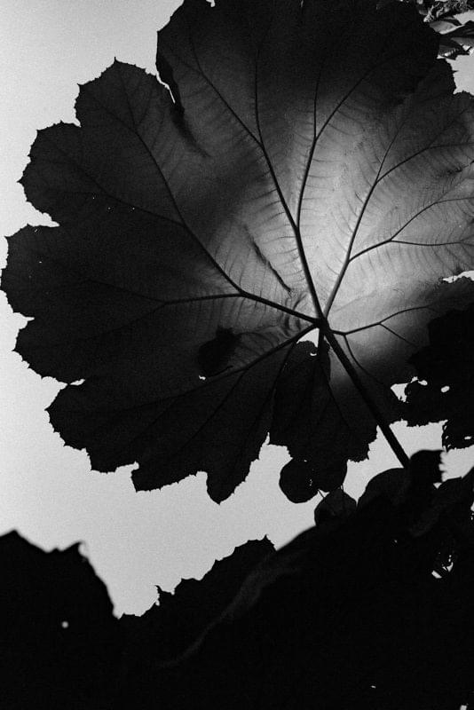 Costa Rica Photographer | Editorial, Commercial & Documentary Photography 273