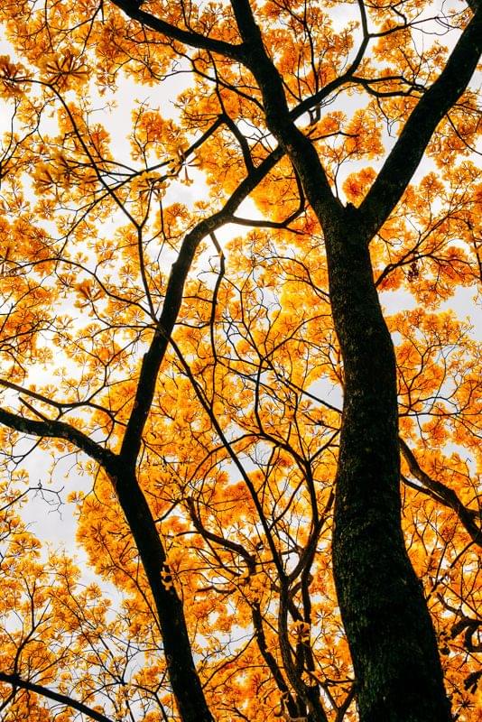 Costa Rica Photographer | Editorial, Commercial & Documentary Photography 271