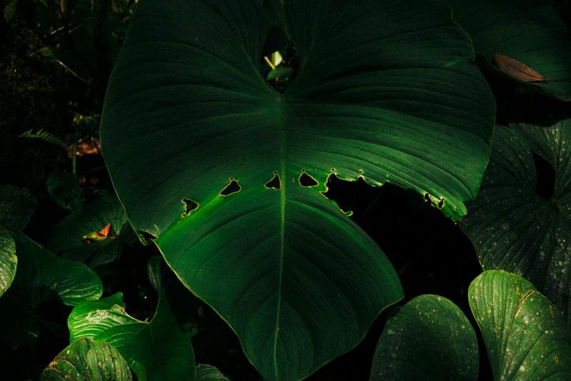 Costa Rica Photographer | Editorial, Commercial & Documentary Photography 269