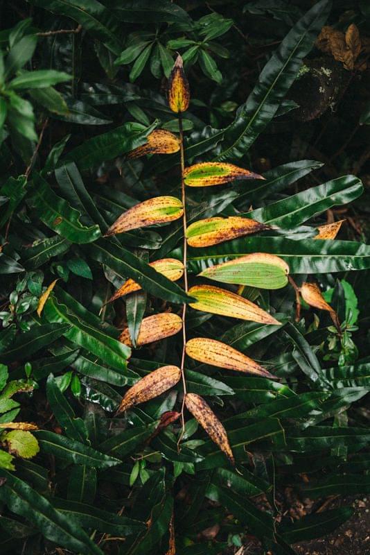 Costa Rica Photographer | Editorial, Commercial & Documentary Photography 267