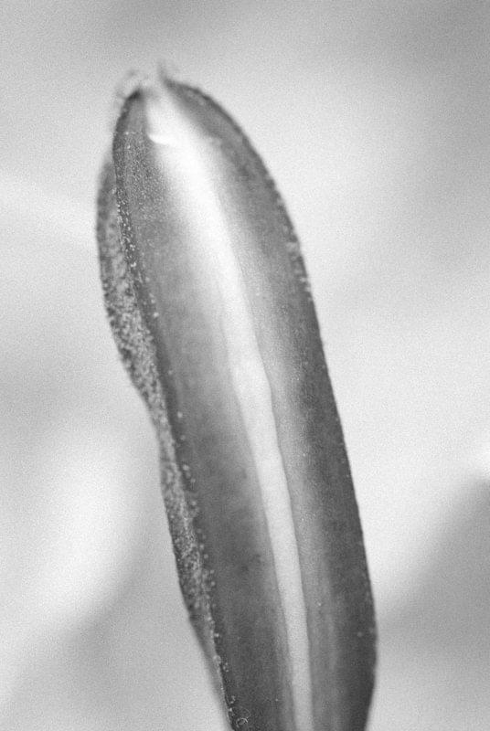 Costa Rica Photographer | Editorial, Commercial & Documentary Photography 265