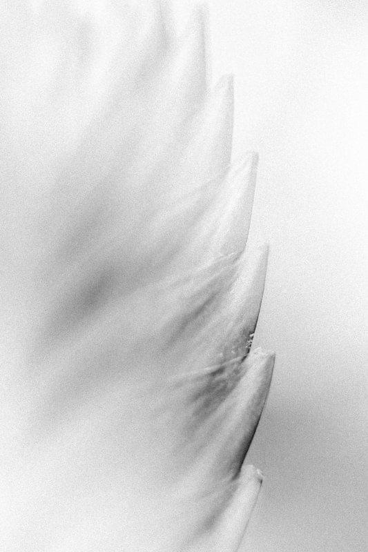 Costa Rica Photographer | Editorial, Commercial & Documentary Photography 257