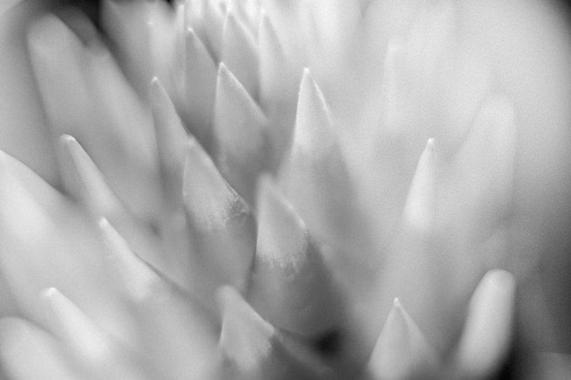 Costa Rica Photographer | Editorial, Commercial & Documentary Photography 263