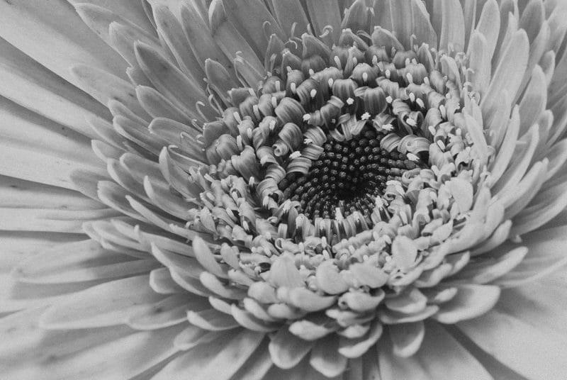 Costa Rica Photographer | Editorial, Commercial & Documentary Photography 261