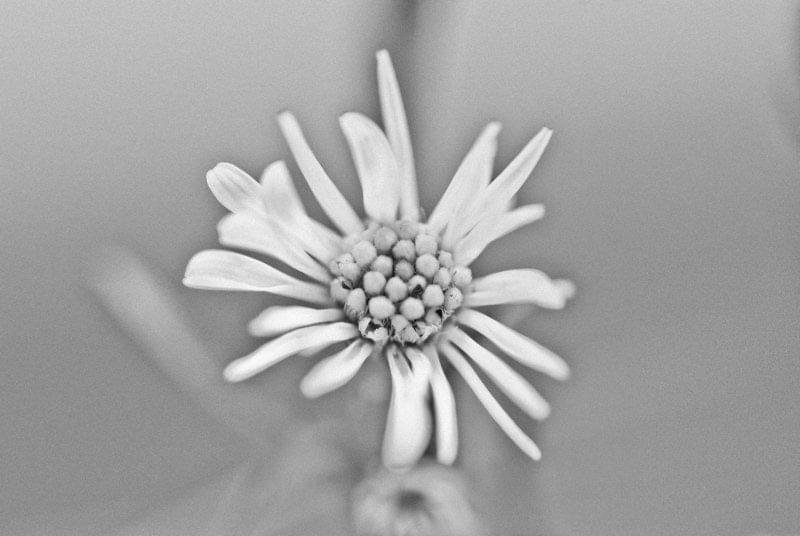 Costa Rica Photographer | Editorial, Commercial & Documentary Photography 259